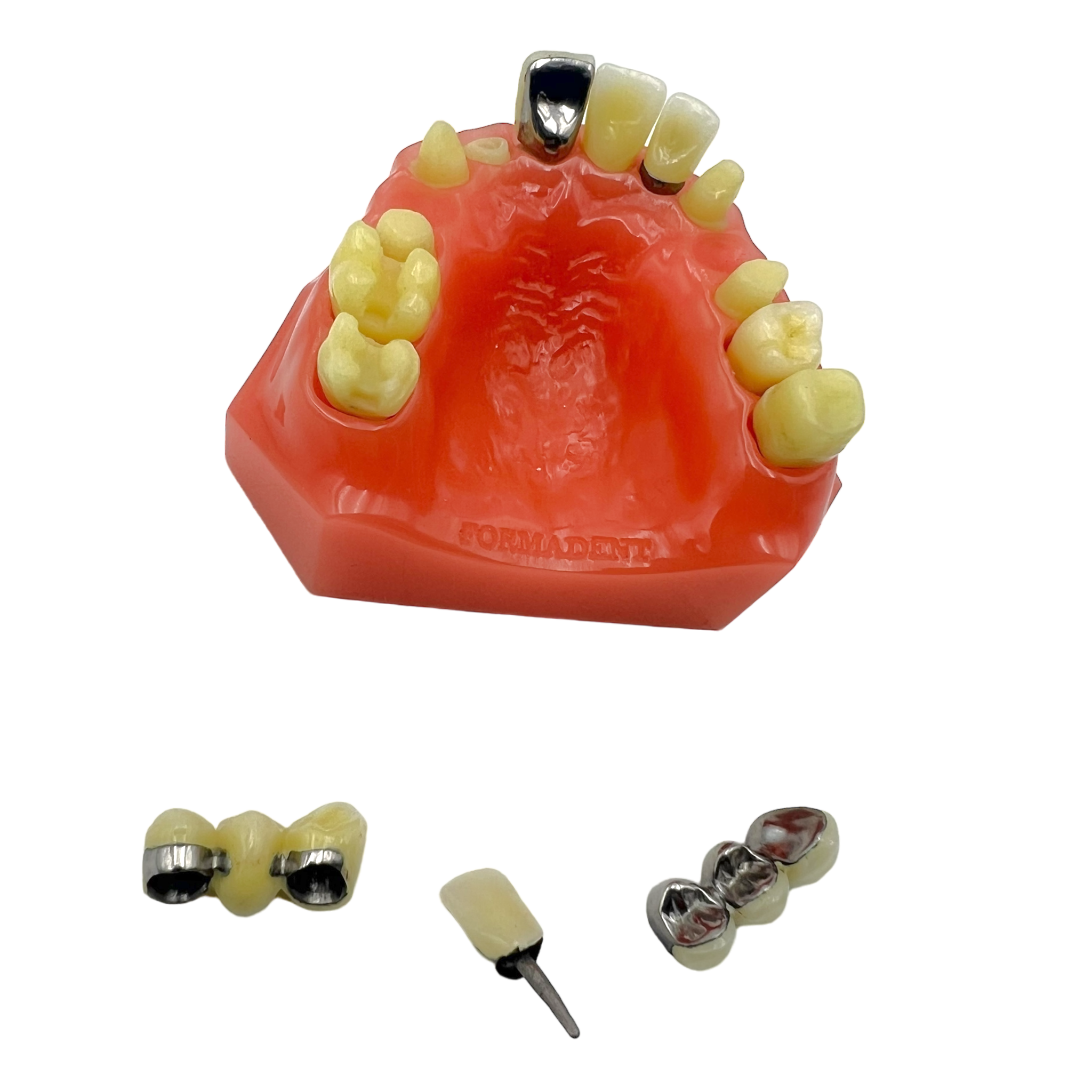 Vintage Formadent Dental Procedure Model