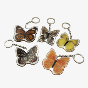 Real Butterfly Resin Keychain