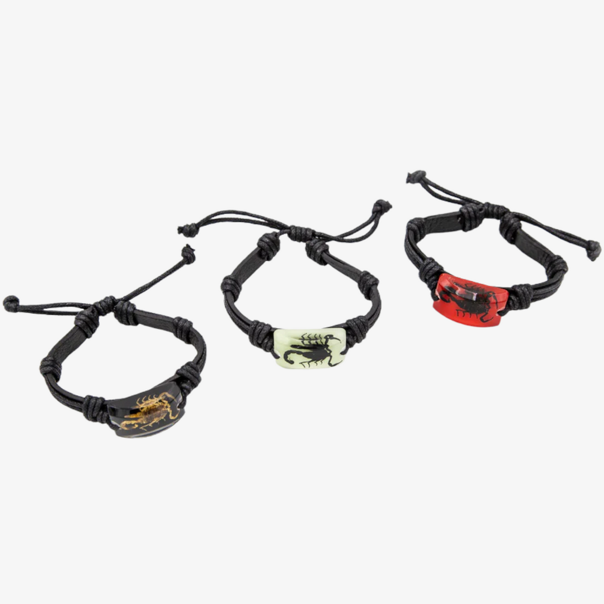 Real Scorpion Resin Leather Bracelet Ballyhoo Curiosity Shop