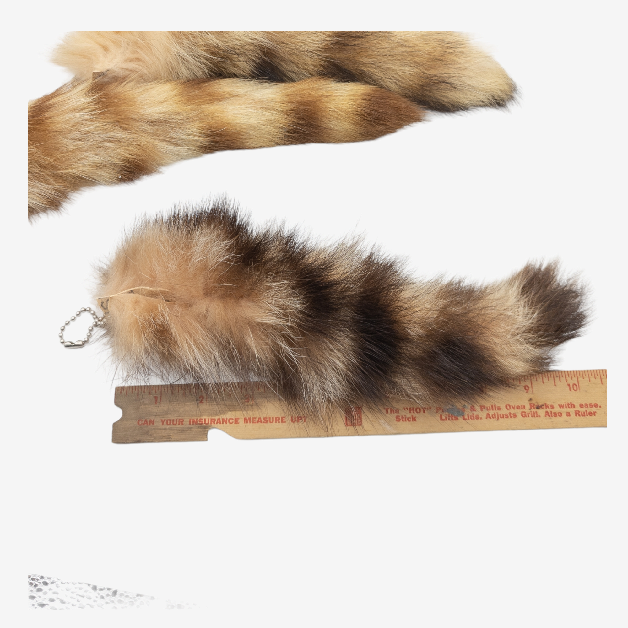 Tanned Raccoon Tail Keychains