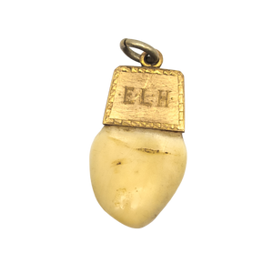 Antique Victorian Elk Tooth Pendant
