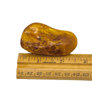 100 Carat Natural Baltic Amber Polished Chunk