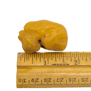 57.5 Carat Natural Baltic Amber Unpolished Raw Chunk