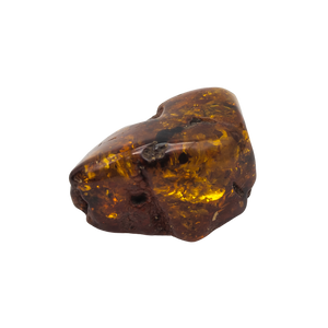 100 Carat Natural Baltic Amber Polished Chunk