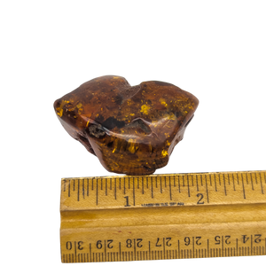 100 Carat Natural Baltic Amber Polished Chunk