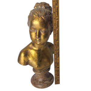 Antique After Jean Antoine Houdon Gilt Terra Cotta Bust