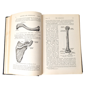 Vintage 1932 Textbook of Anatomy & Physiology