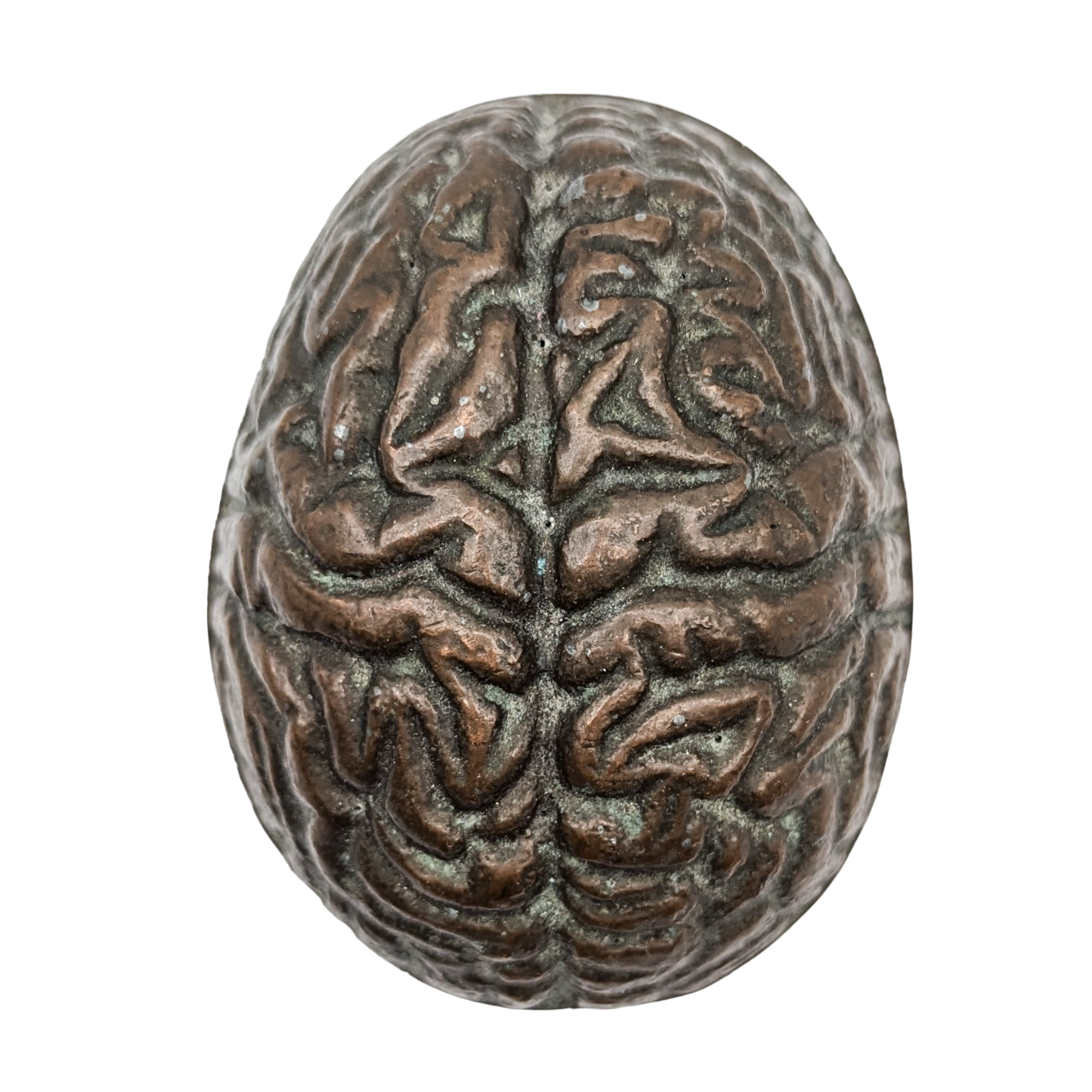 Brain Paperweight Vintage Copper Human Brain Paperweight – Ballyhoo Curiosity Shop