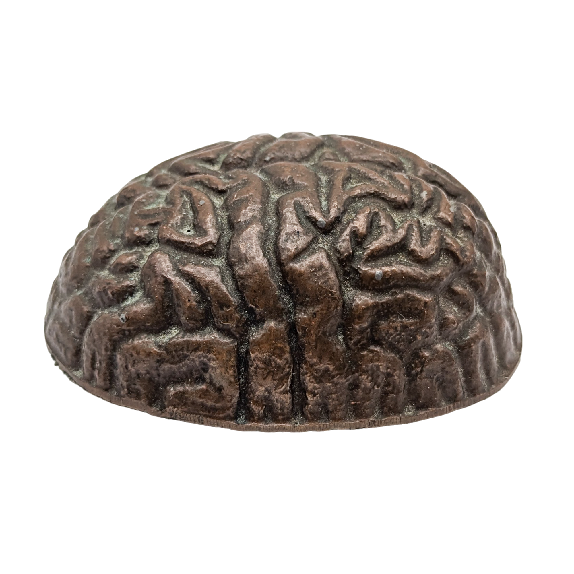 Brain Paperweight Vintage Copper Human Brain Paperweight – Ballyhoo Curiosity Shop