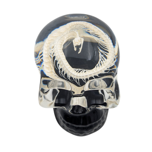 Real Snake Skeleton in Resin Skull