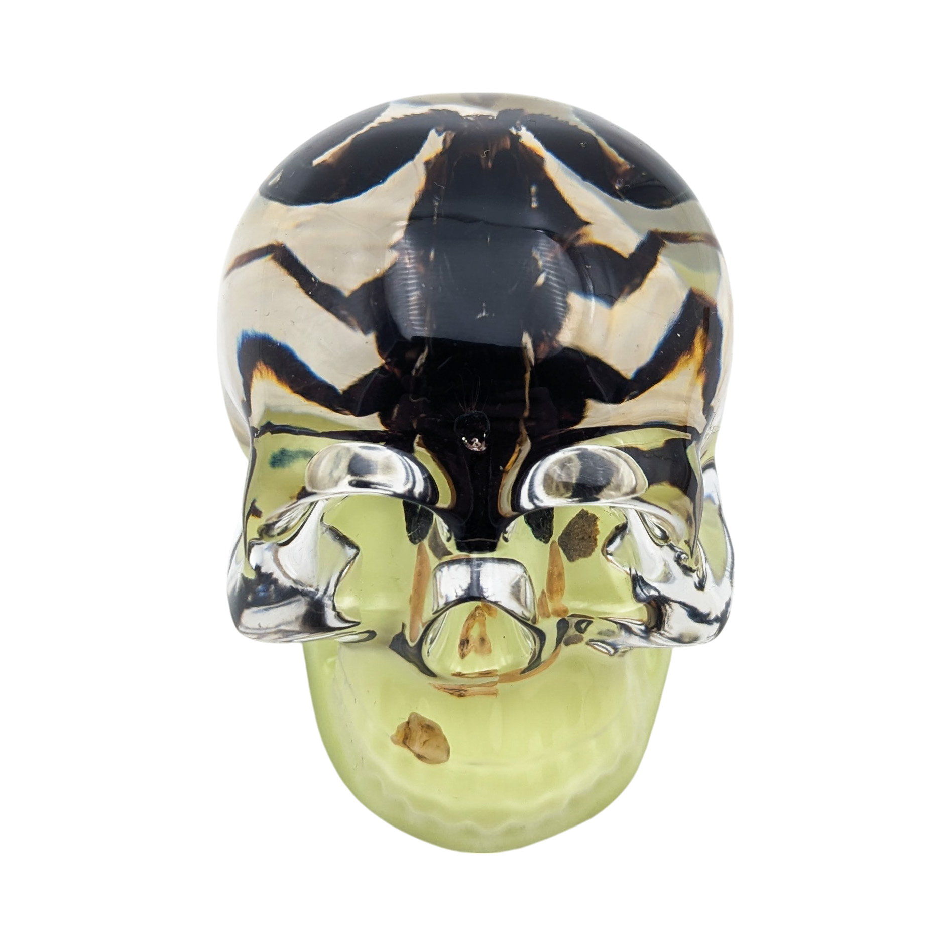 Real Scorpion in Resin Skull