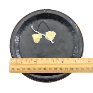 Antique Victorian Celluloid Button Photo