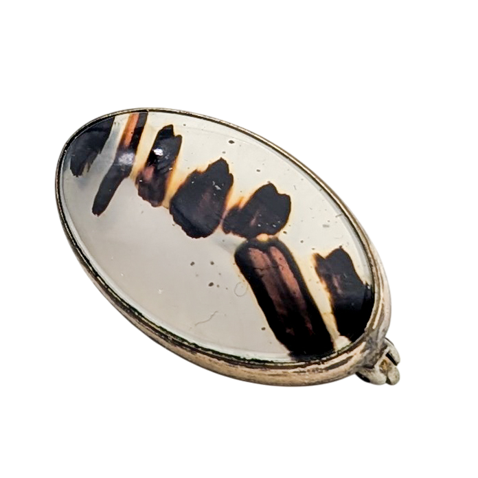Antique Edwardian Gold Filled Montana Agate Brooch