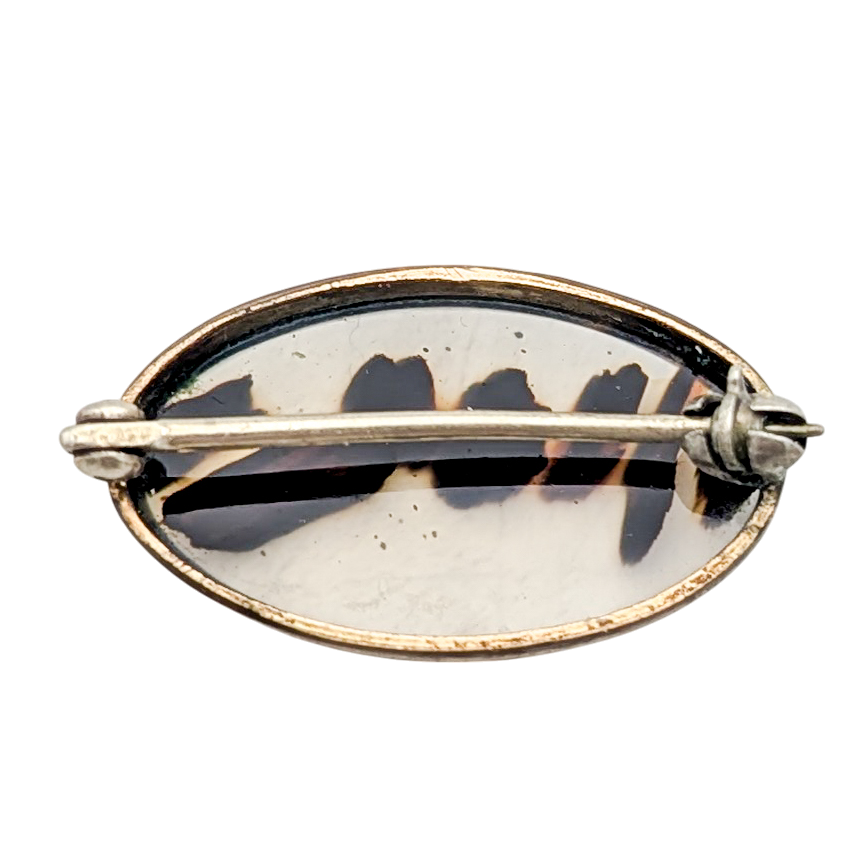 Antique Edwardian Gold Filled Montana Agate Brooch