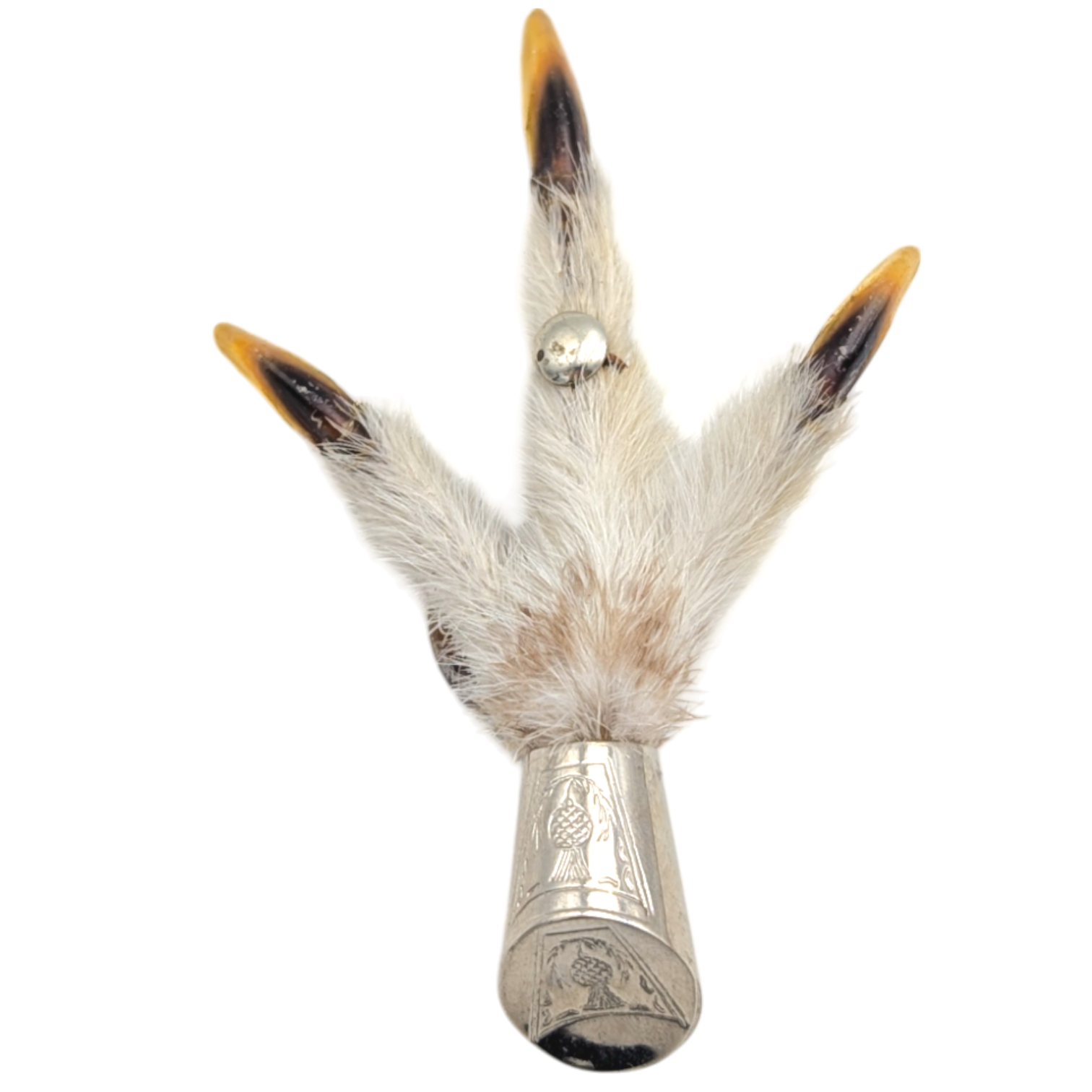 Vintage Scottish Taxidermy Grouse Foot Brooch