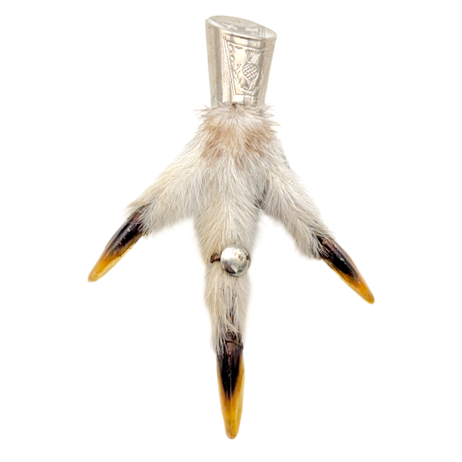 Vintage Scottish Taxidermy Grouse Foot Brooch