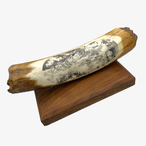 Fossil Walrus Tusk Scrimshaw by Nau King