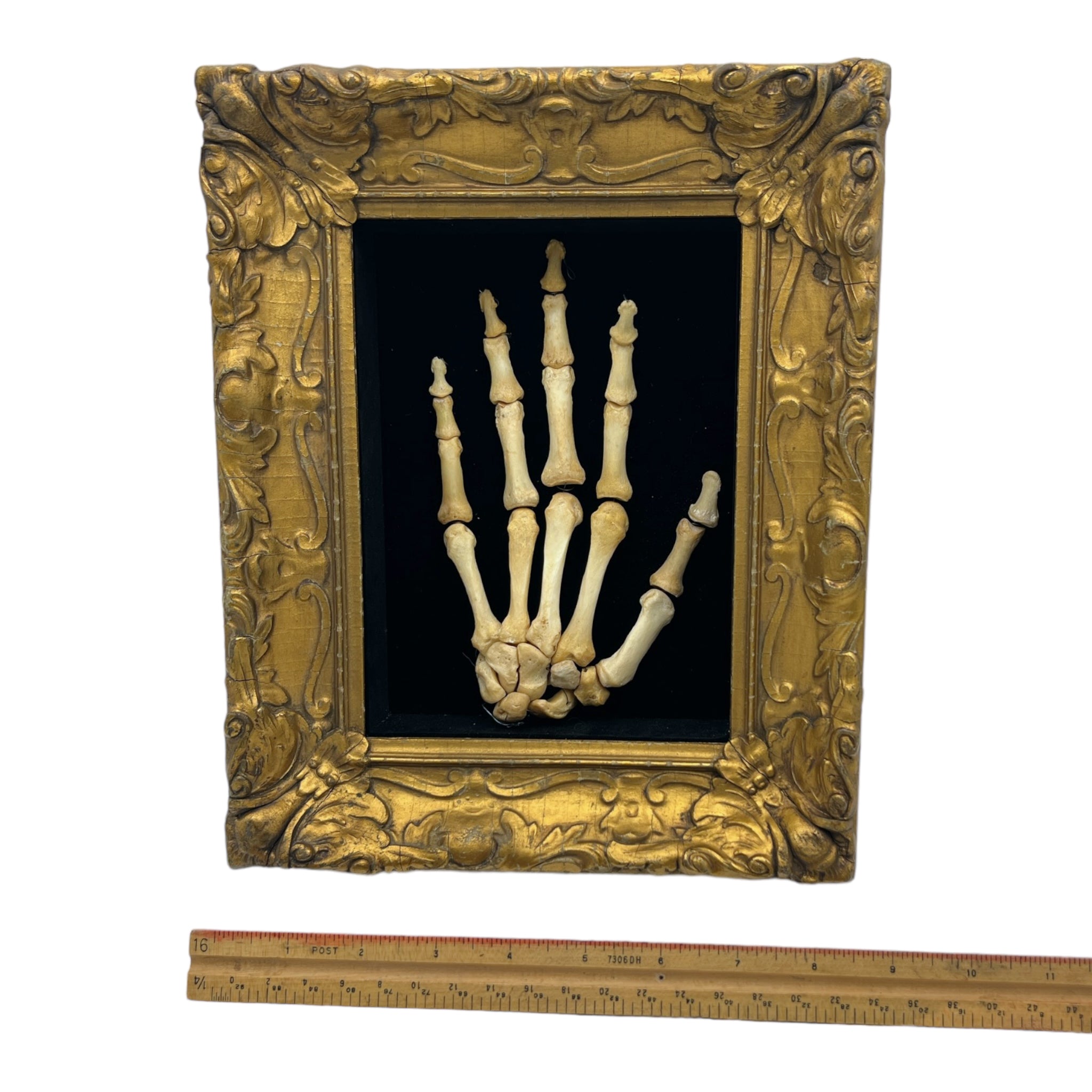 Articulated Human Hand Bones Shadow Box β Ballyhoo Curiosity Shop