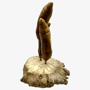 Carved Fossilized Sperm Whale Teeth on Moose Antler Stand