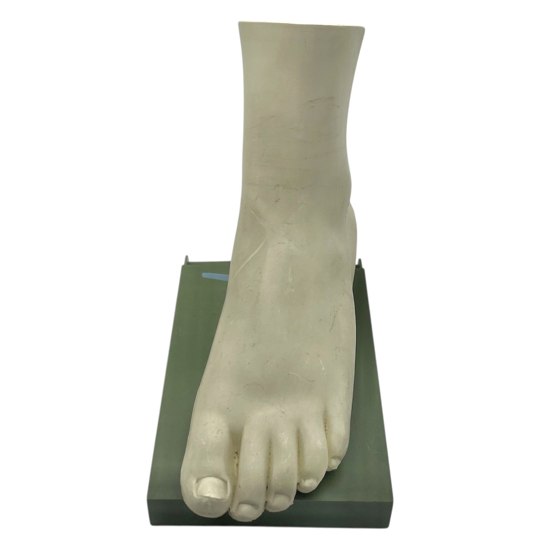 Vintage Human Foot Anatomical Model