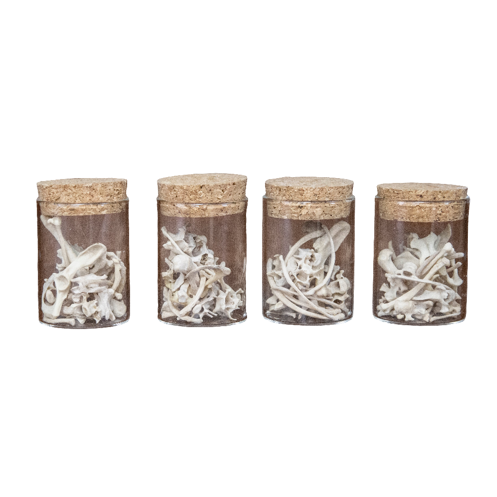 Jar of Mink Bones