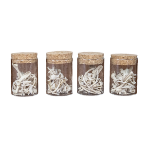 Jar of Mink Bones