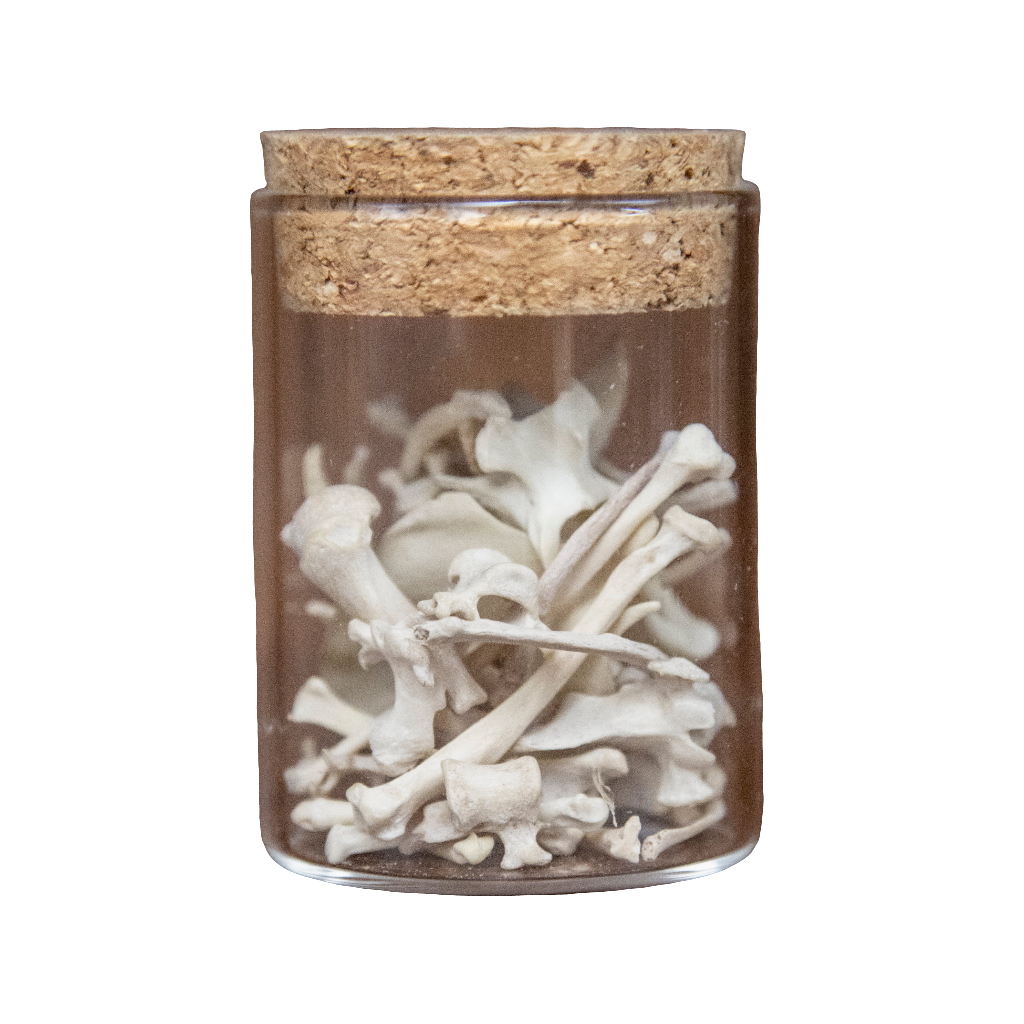 Jar of Mink Bones