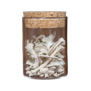 Jar of Mink Bones