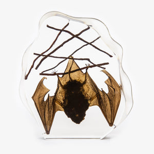 Japanese House Bat Large Resin Paperweight