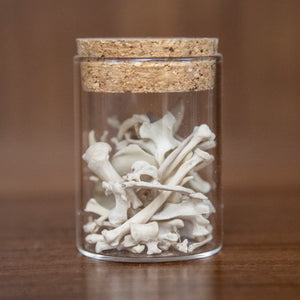 Jar of Mink Bones