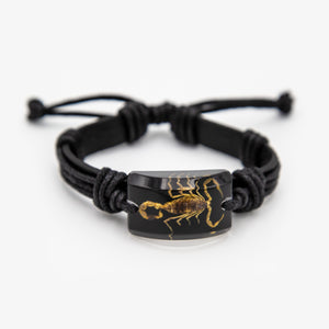Real Scorpion Resin & Leather Bracelet