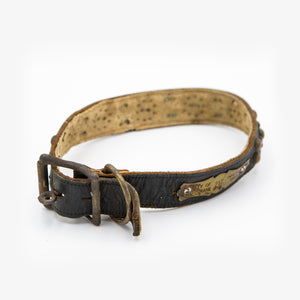 Vintage 1933 Spokane Dog Collar & Brass Tag