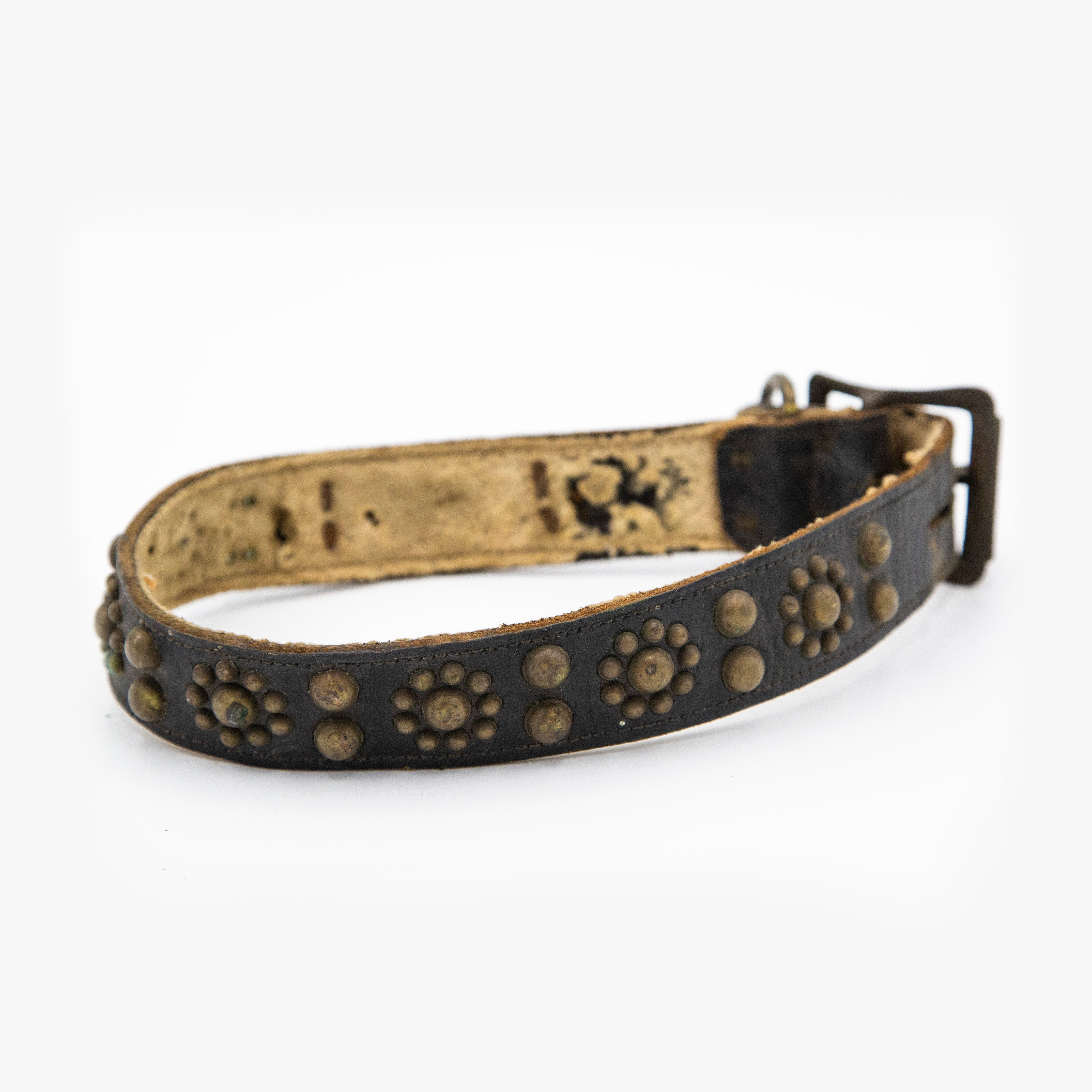 Vintage 1933 Spokane Dog Collar & Brass Tag