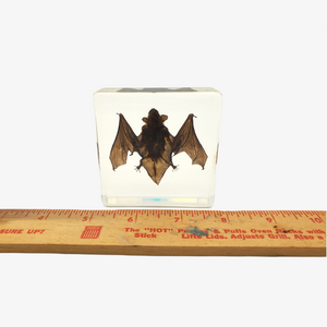 Bat Resin Paperweight (Small)