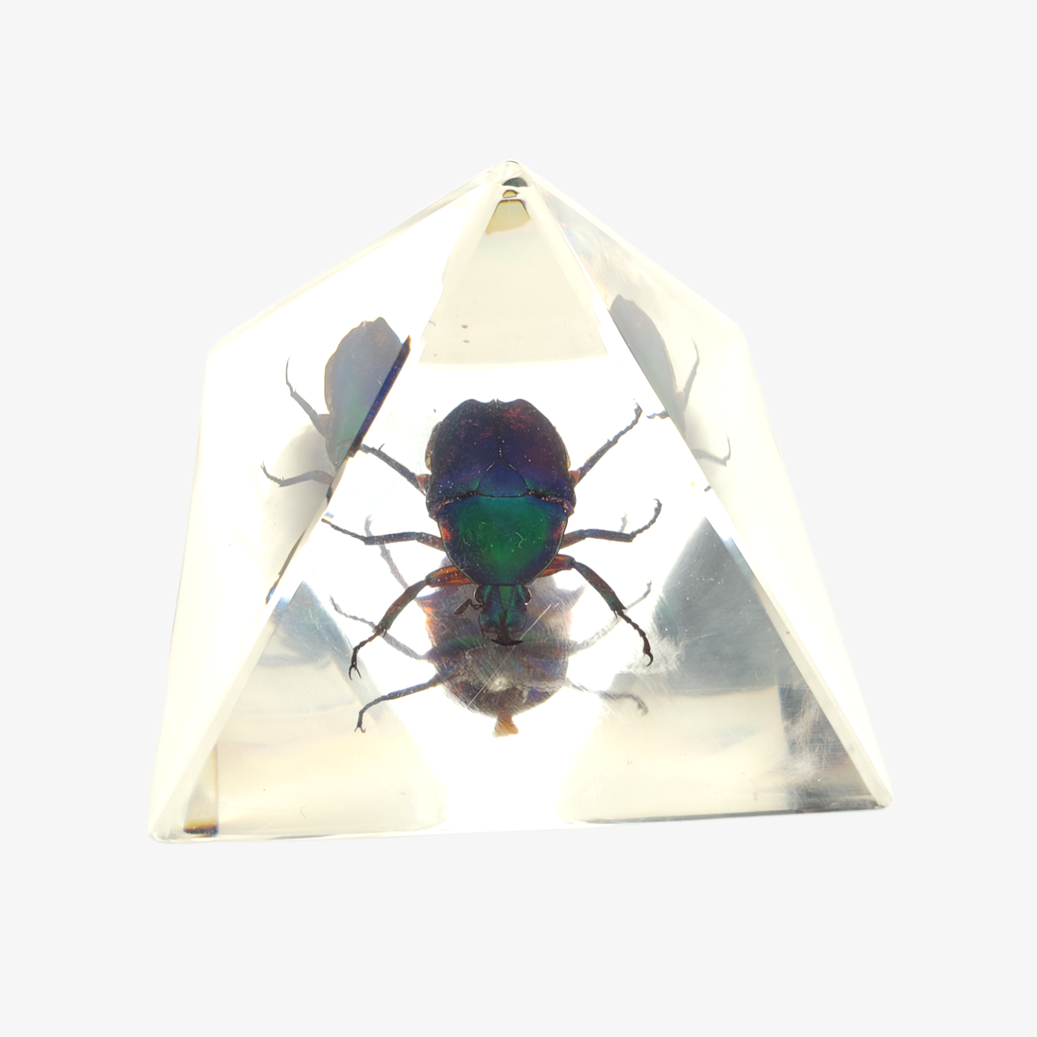 Resin Chafer Beetle Pyramid