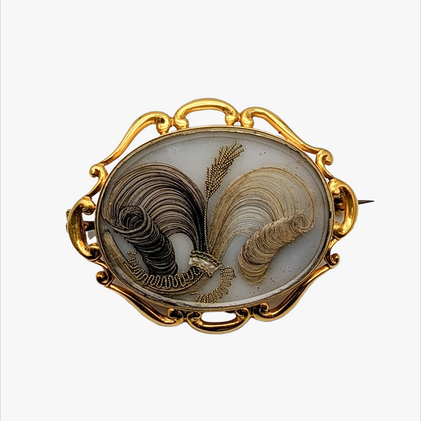 PhotoRoom-  display picture 3
