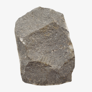 Metacanthina Trilobite Fossil