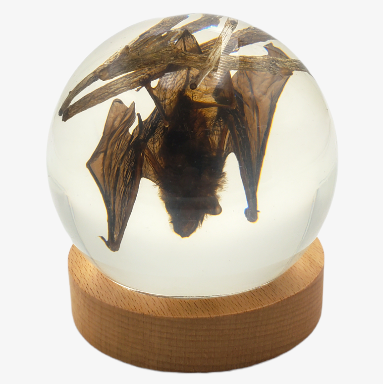 Bat 4" Resin Globe on Stand