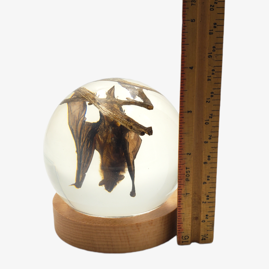 Bat 4" Resin Globe on Stand