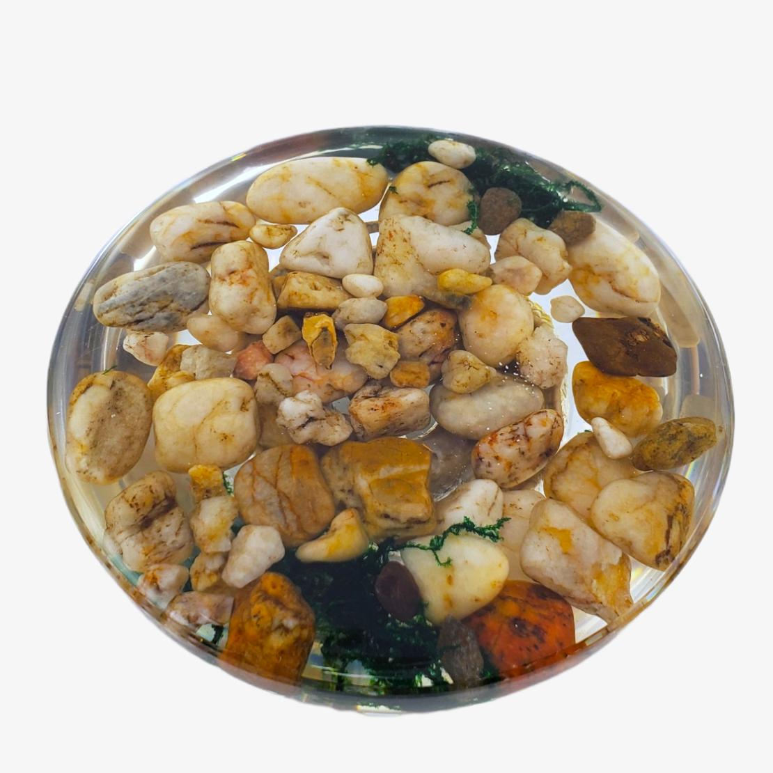 4" Snake Pebbles Semi-Sphere Paperweight