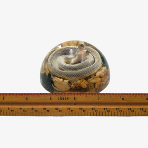 4" Snake Pebbles Semi-Sphere Paperweight