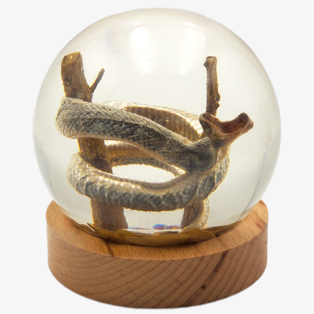 Snake 4" Resin Globe on Stand