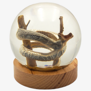 Snake 4" Resin Globe on Stand