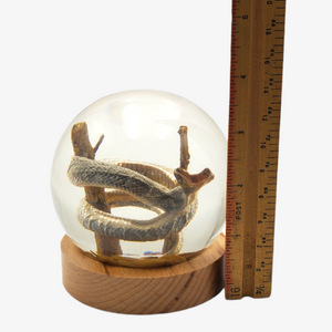 Snake 4" Resin Globe on Stand