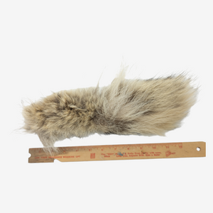 Tanned Coyote Tail Keychain