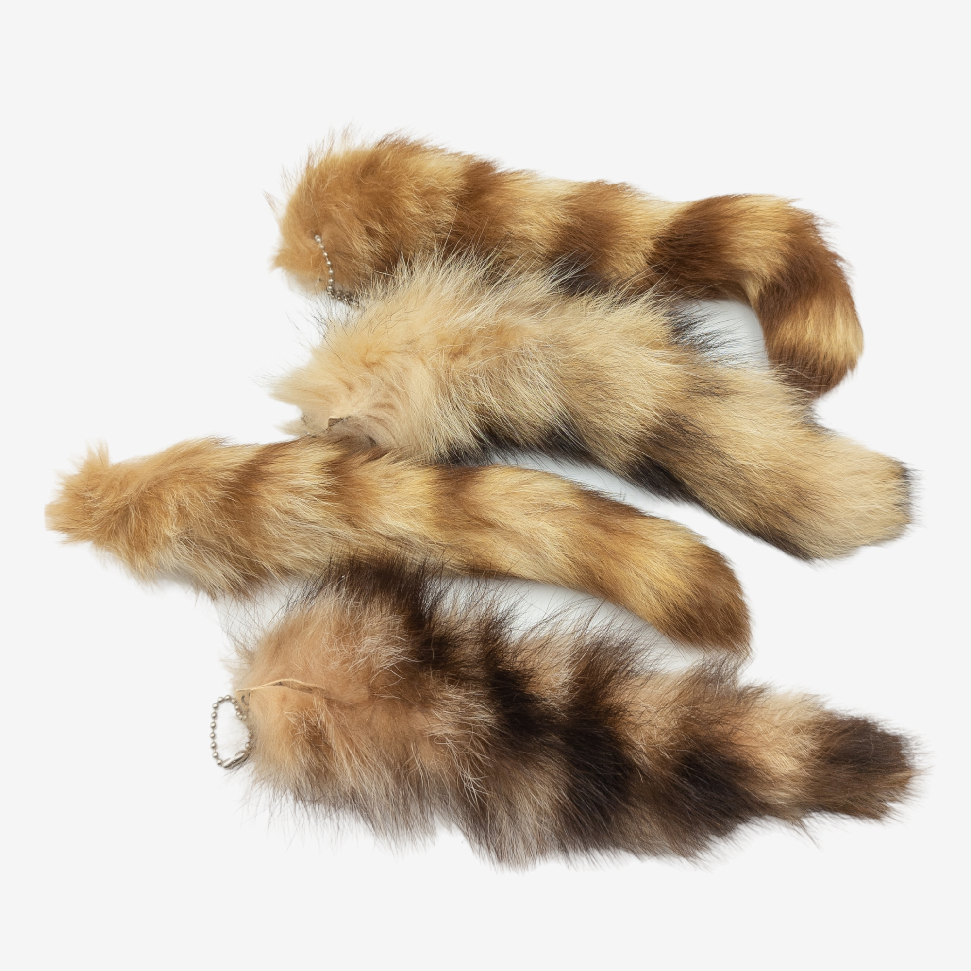 Tanned Raccoon Tail Keychains