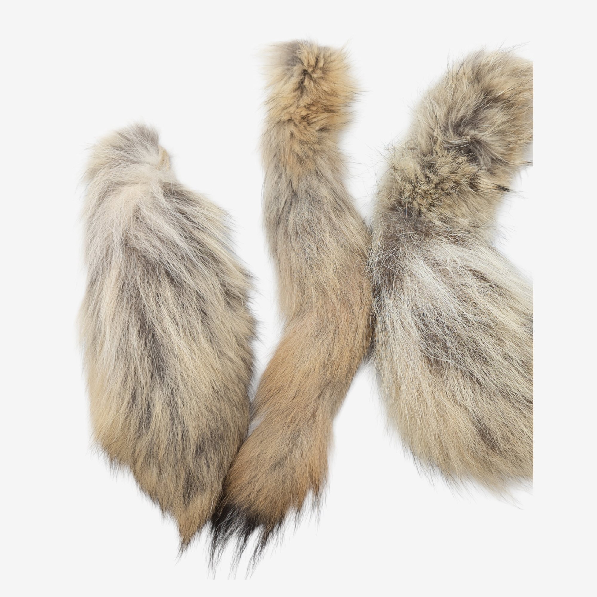 Tanned Canadian Lynx Tail Keychain