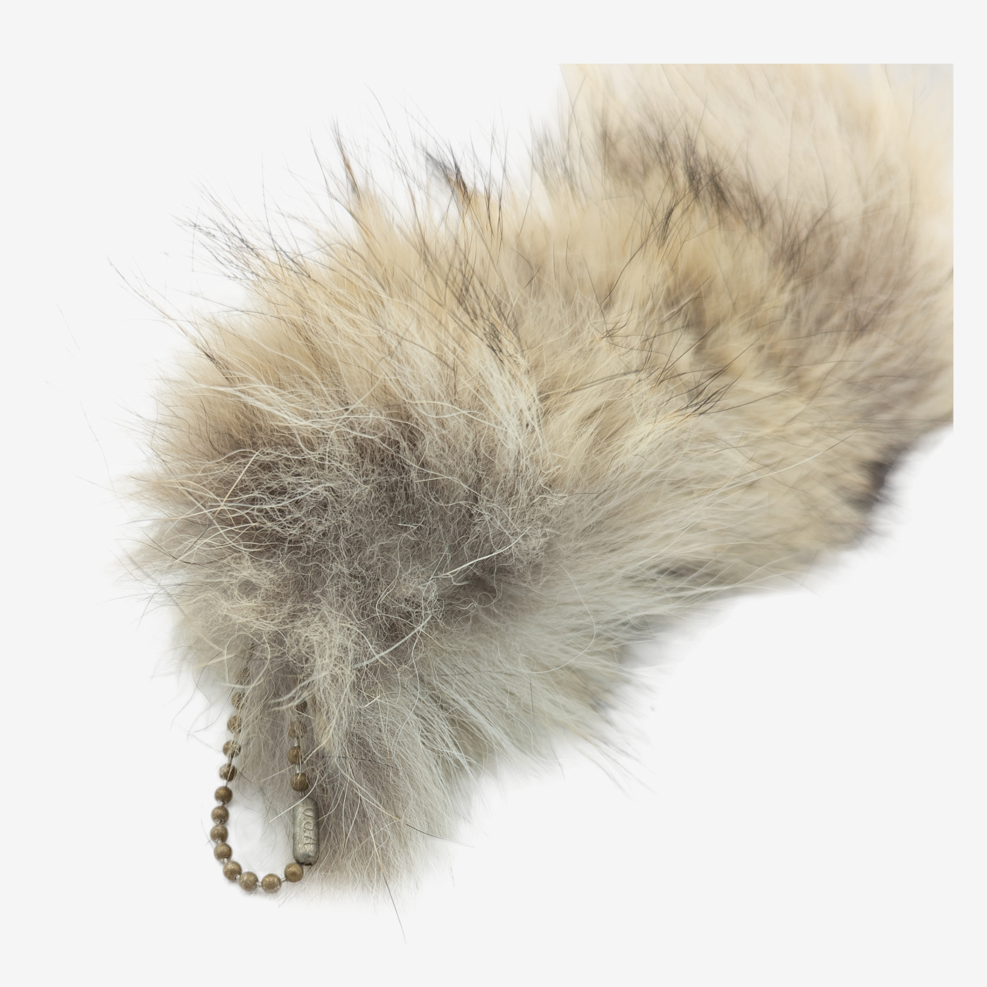 Tanned Coyote Tail Keychain