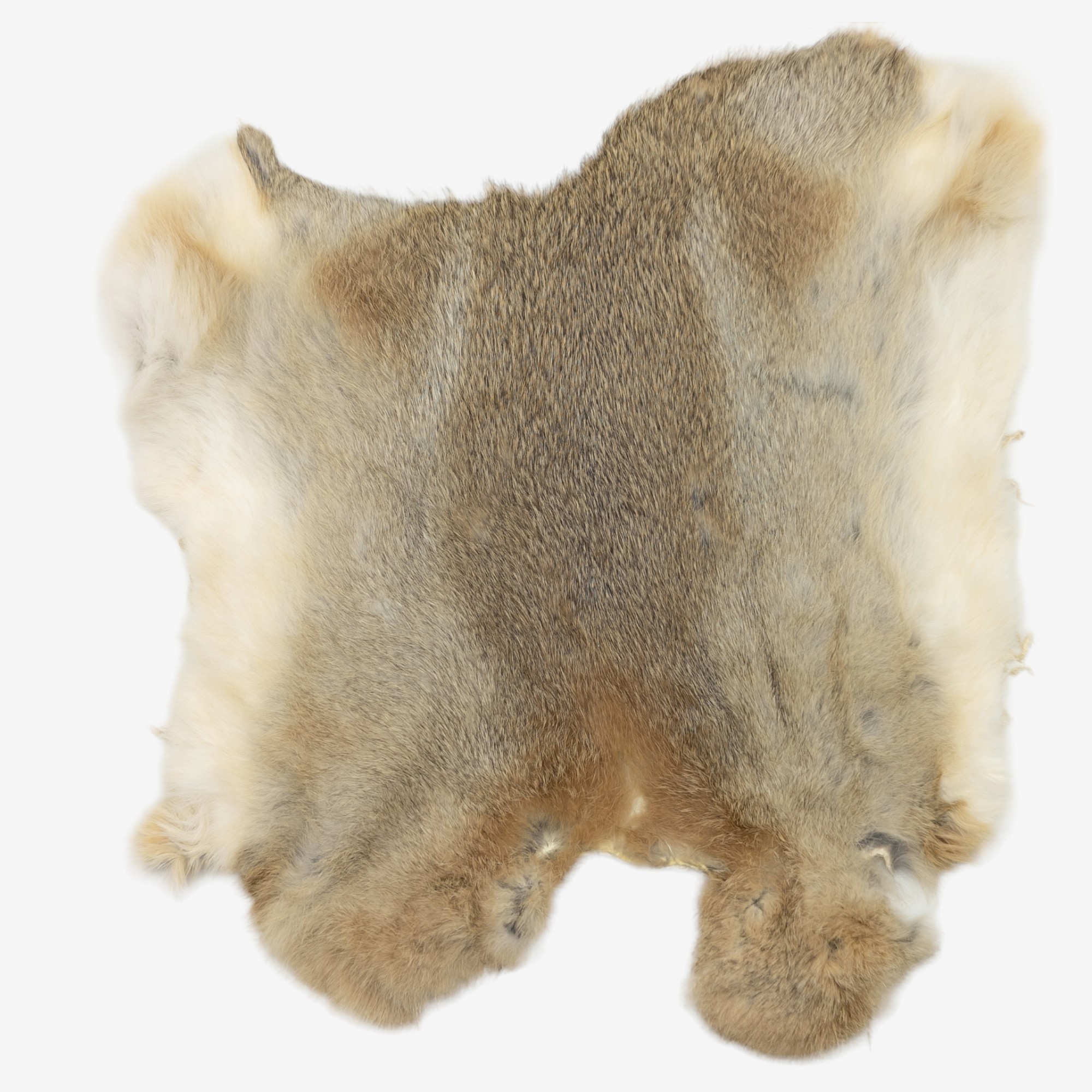 Taxidermy Rabbit Fur Pelt